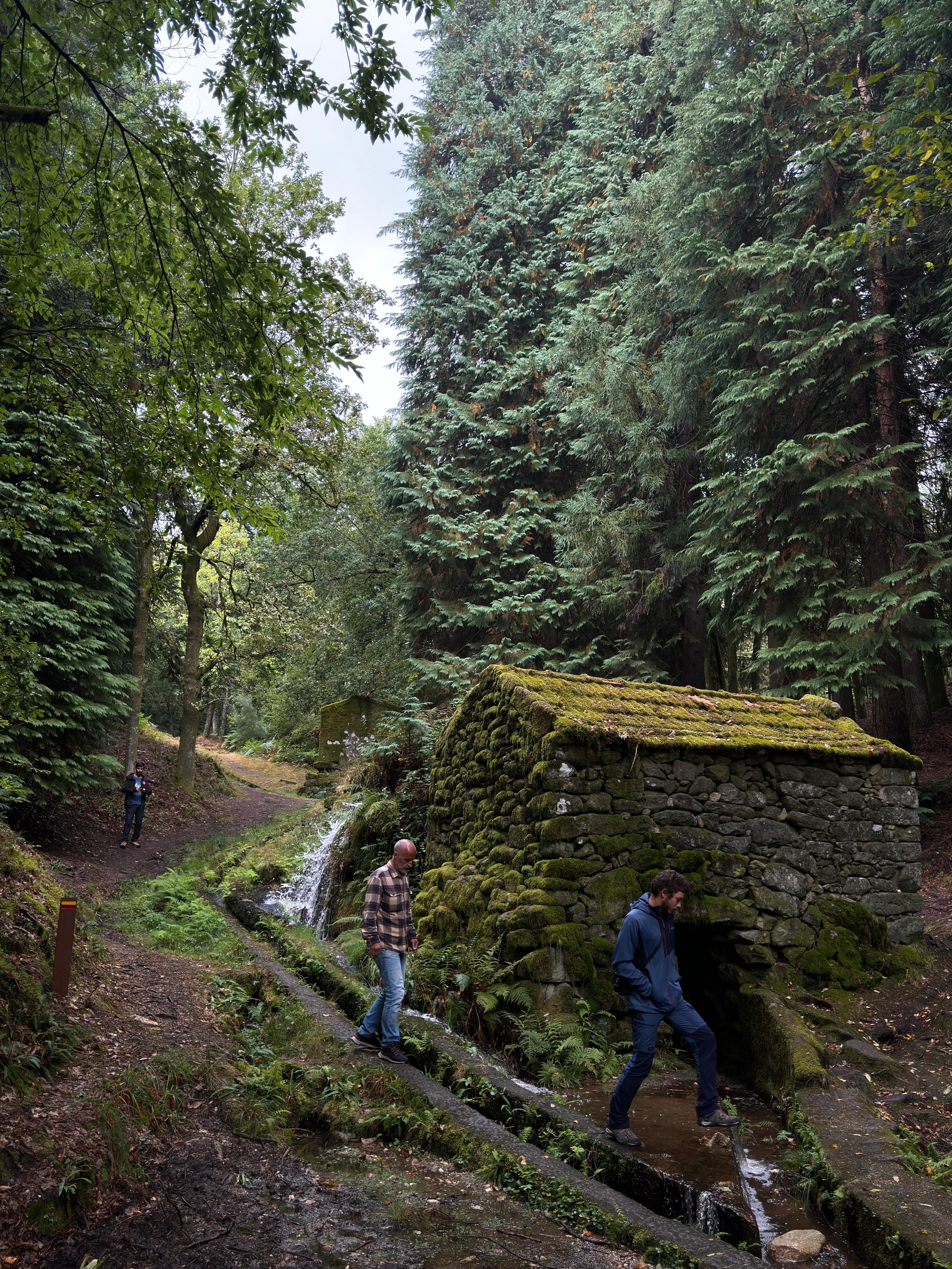 Nature & Wine Tasting Tour in Northern Portugal: Explore Vinho Verde Region photo 8