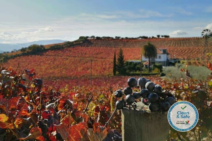 Family Wine Estate