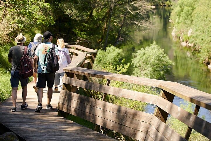 Walkways and Paiva river