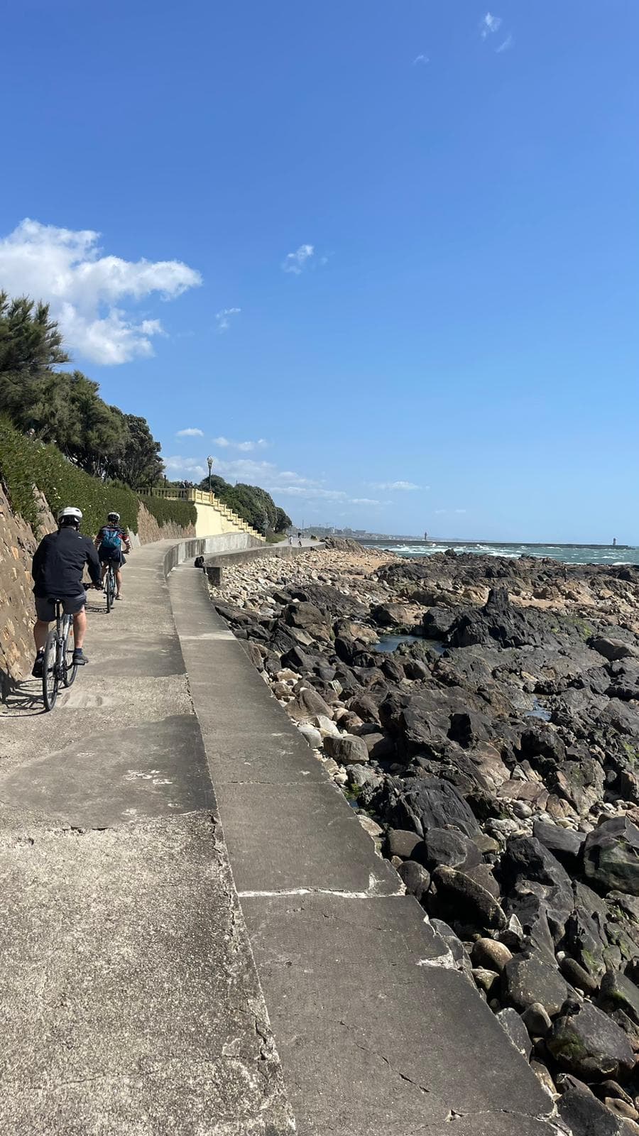 Porto E-bike Tour & Seafood Tasting photo 8