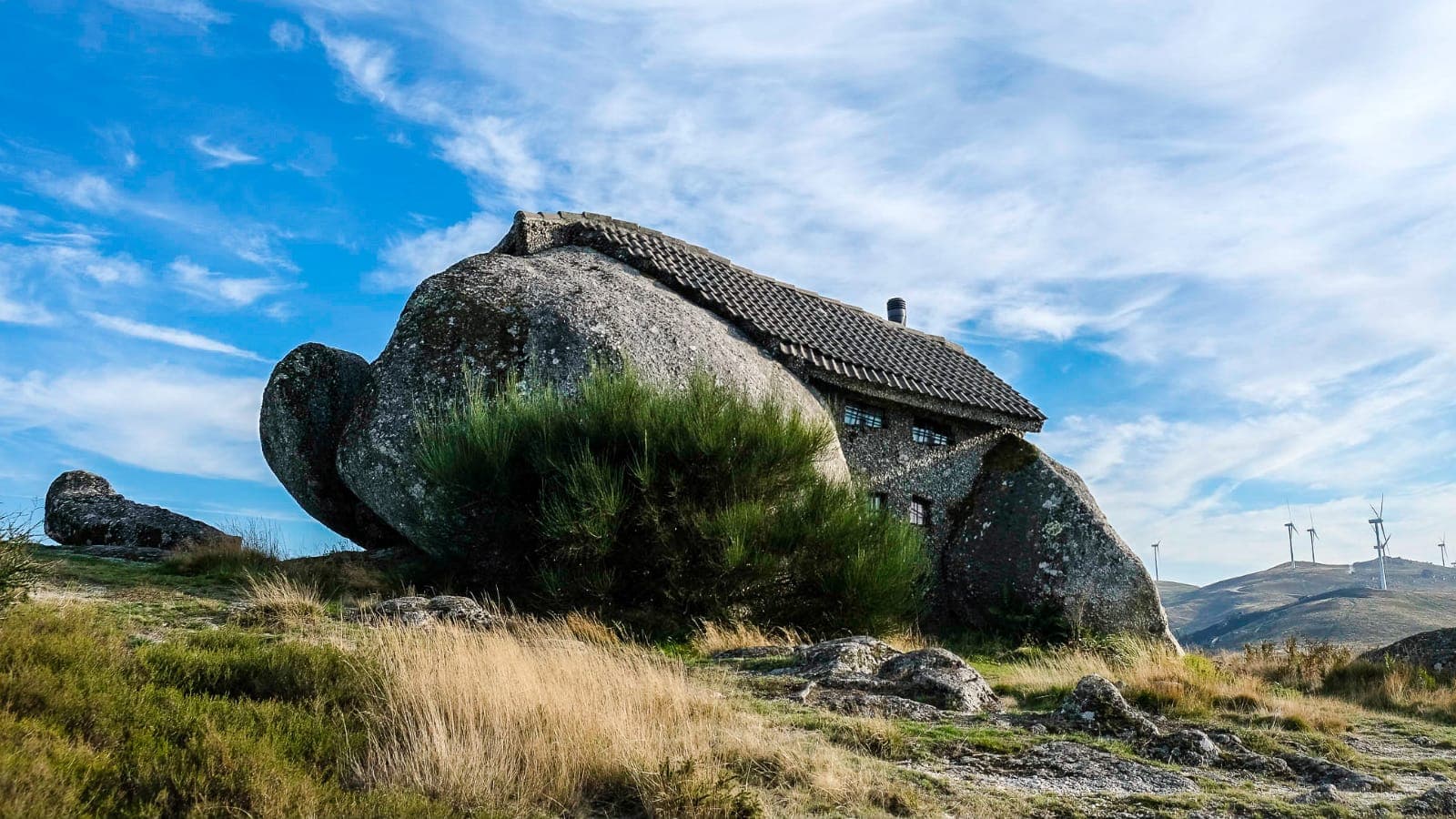 Nature & Wine Tasting Tour in Northern Portugal: Explore Vinho Verde Region