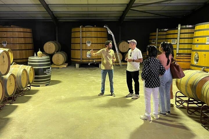 Guided Visit to a familiar winery
