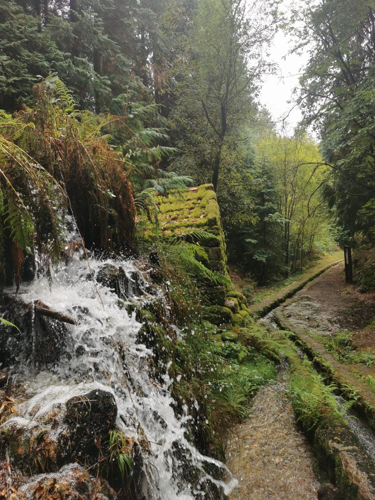 Nature & Wine Tasting Tour in Northern Portugal: Explore Vinho Verde Region