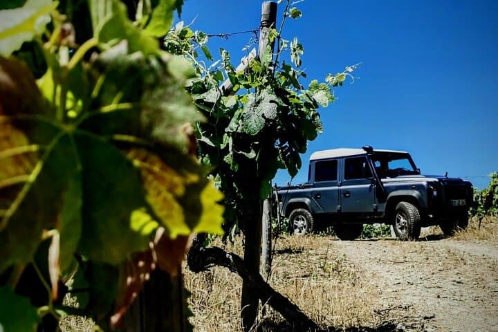 Vineyards, rivers, and rolling hills