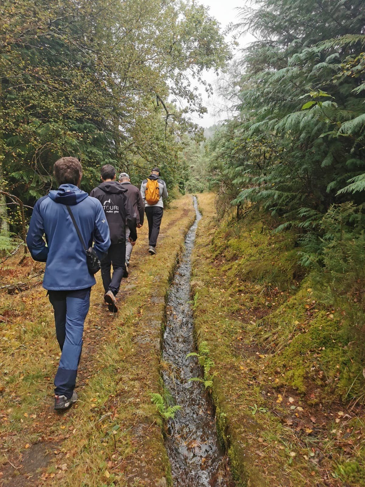 Nature & Wine Tasting Tour in Northern Portugal: Explore Vinho Verde Region