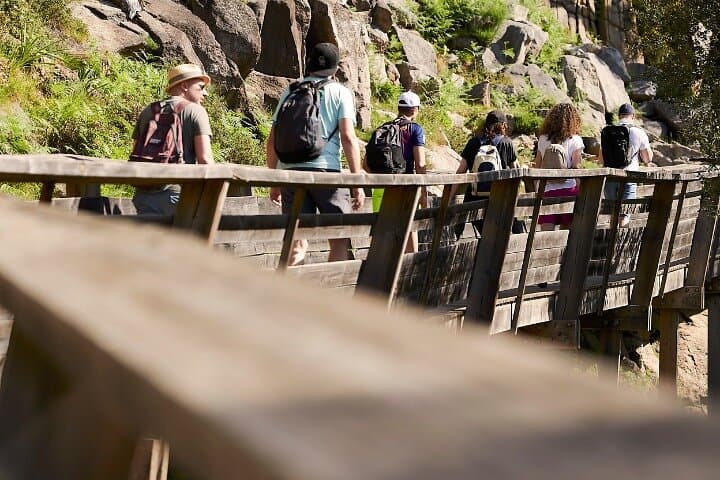 A trail of tranquility at Paiva Walkways