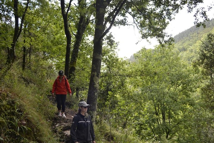 Hiking in nature