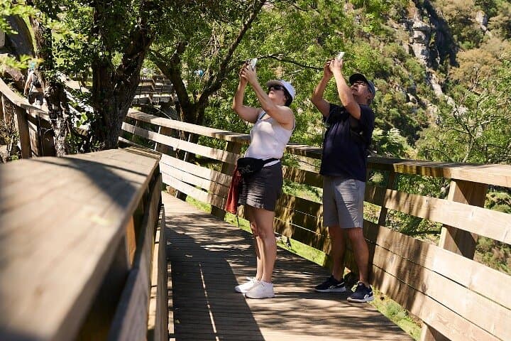 Embracing the beauty of nature at Paiva Walkways