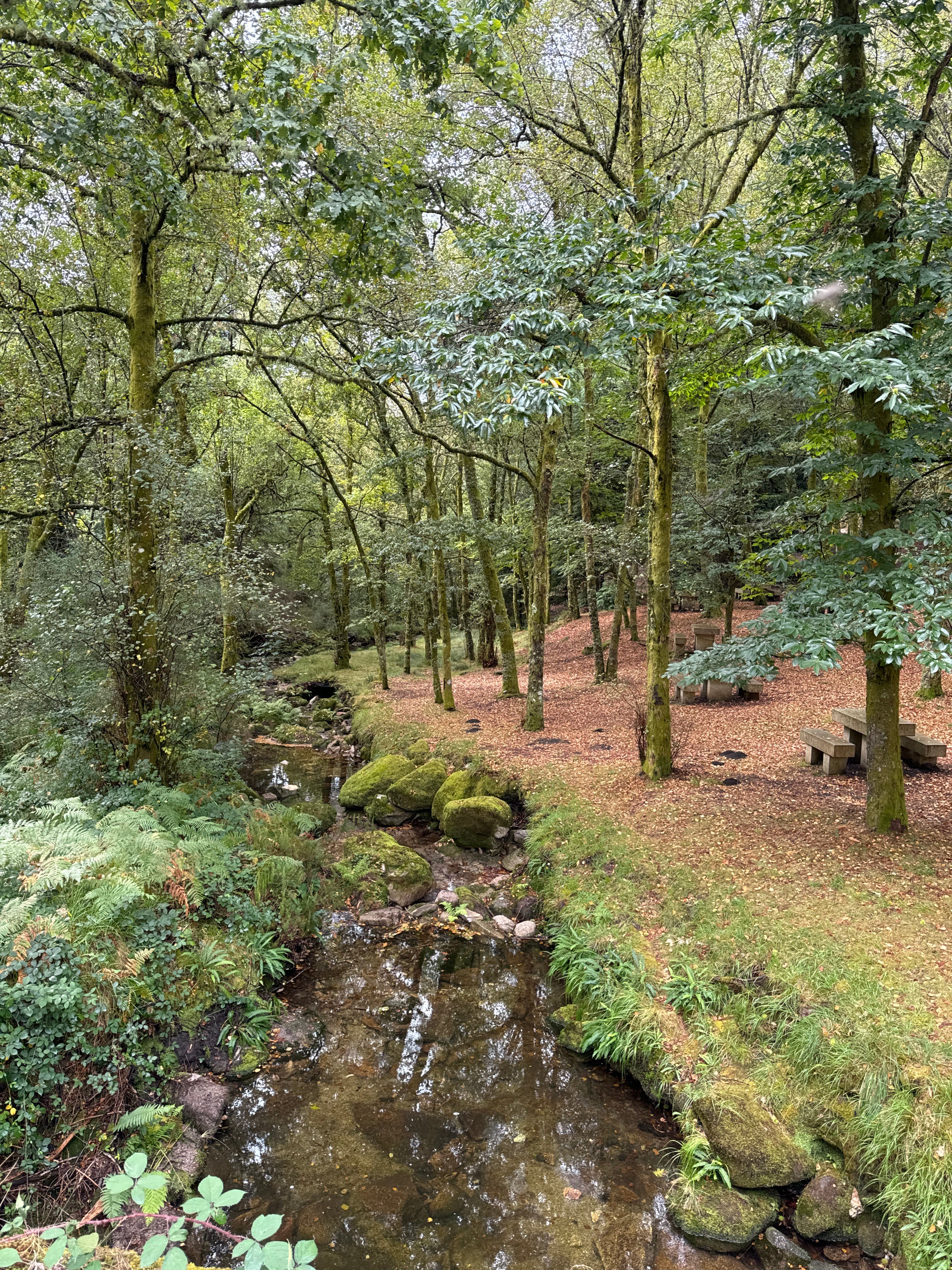 Nature & Wine Tasting Tour in Northern Portugal: Explore Vinho Verde Region