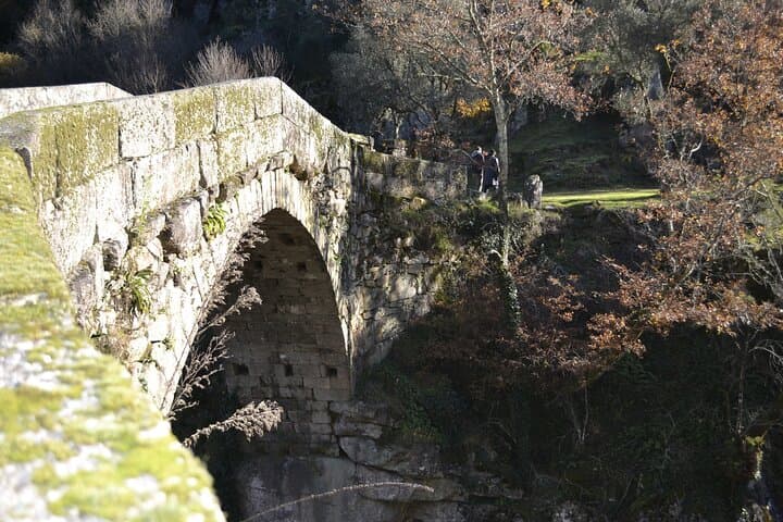 Mizarela Bridge