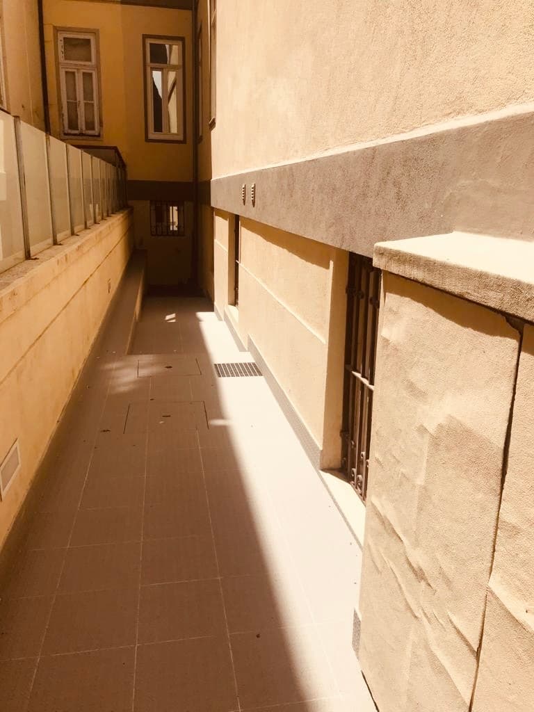 Torrinha's Backyard